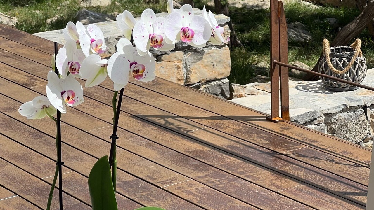 Photo of Outdoor in Cazevieille