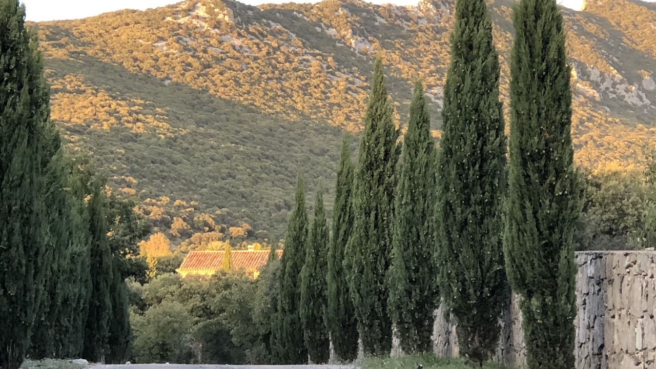 Photo of Outdoor in Cazevieille