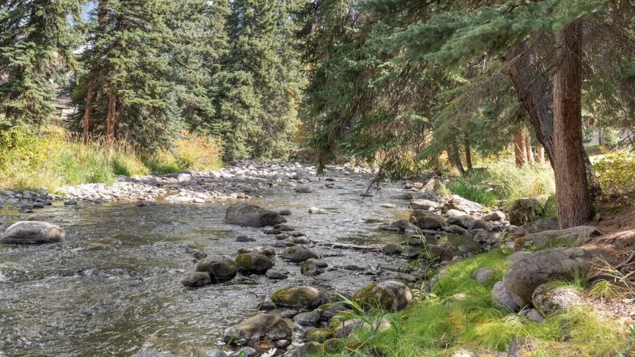 Photo of Others in Vail