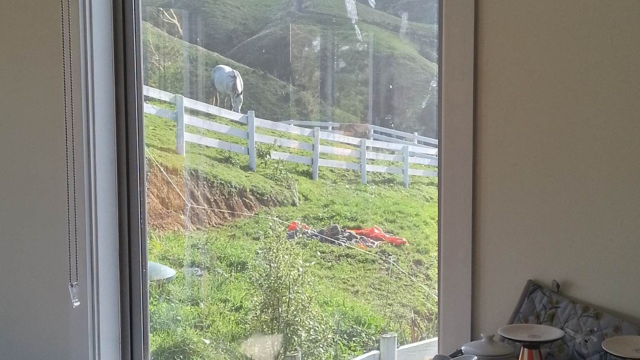 Photo of Others in Tawa