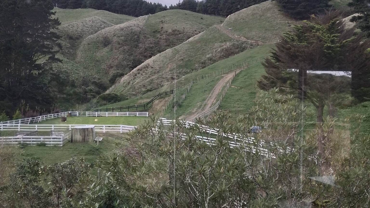 Photo of Outdoor in Tawa