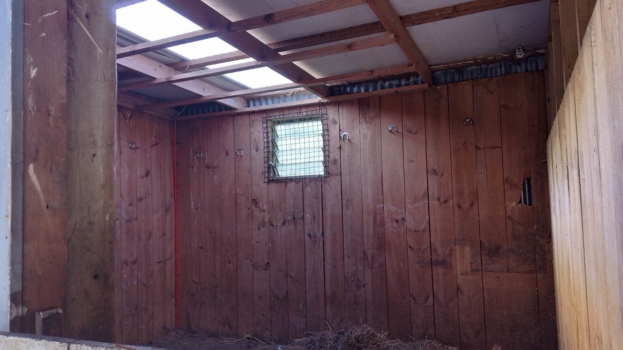 Photo of Others in Tawa