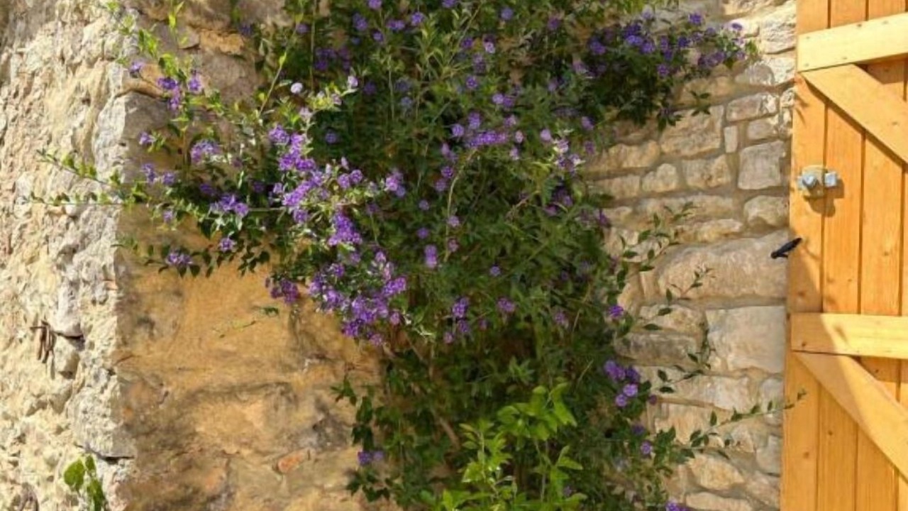 Photo of Outdoor in Carsan