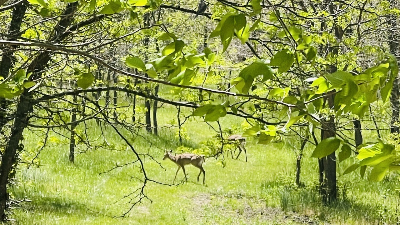 Photo of Outdoor in Johnson County