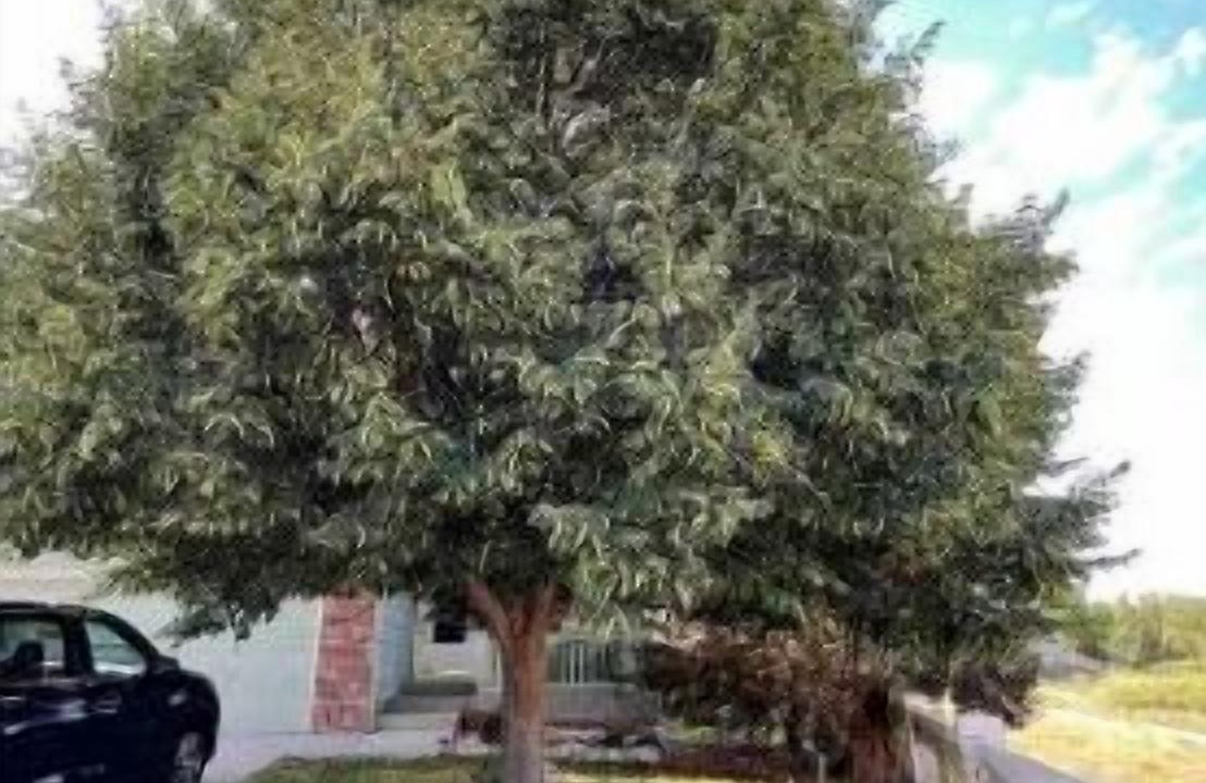 Photo of Outdoor in Aurora