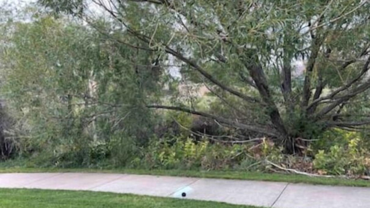 Photo of Outdoor in Aurora