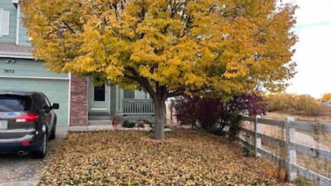 Photo of Outdoor in Aurora