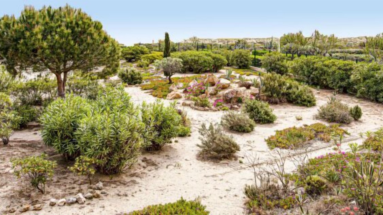 Photo of Others in Port Leucate