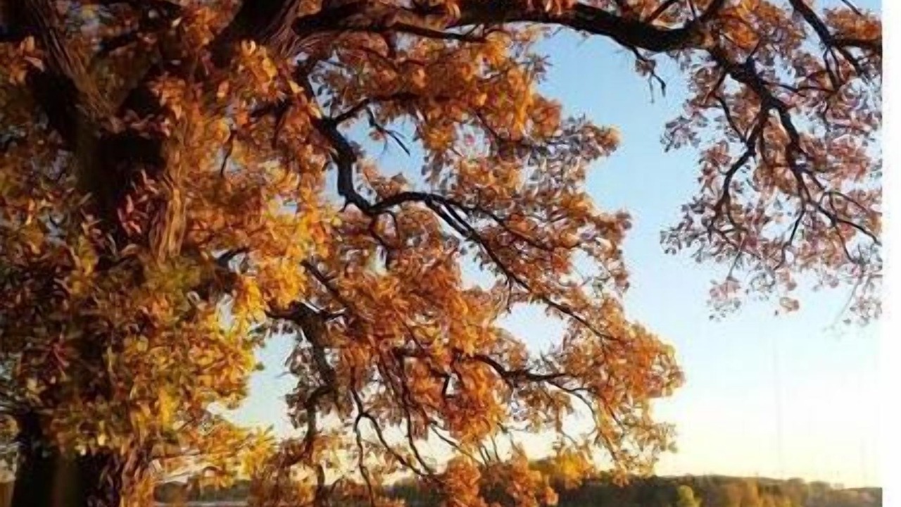 Photo of Outdoor in Willmar