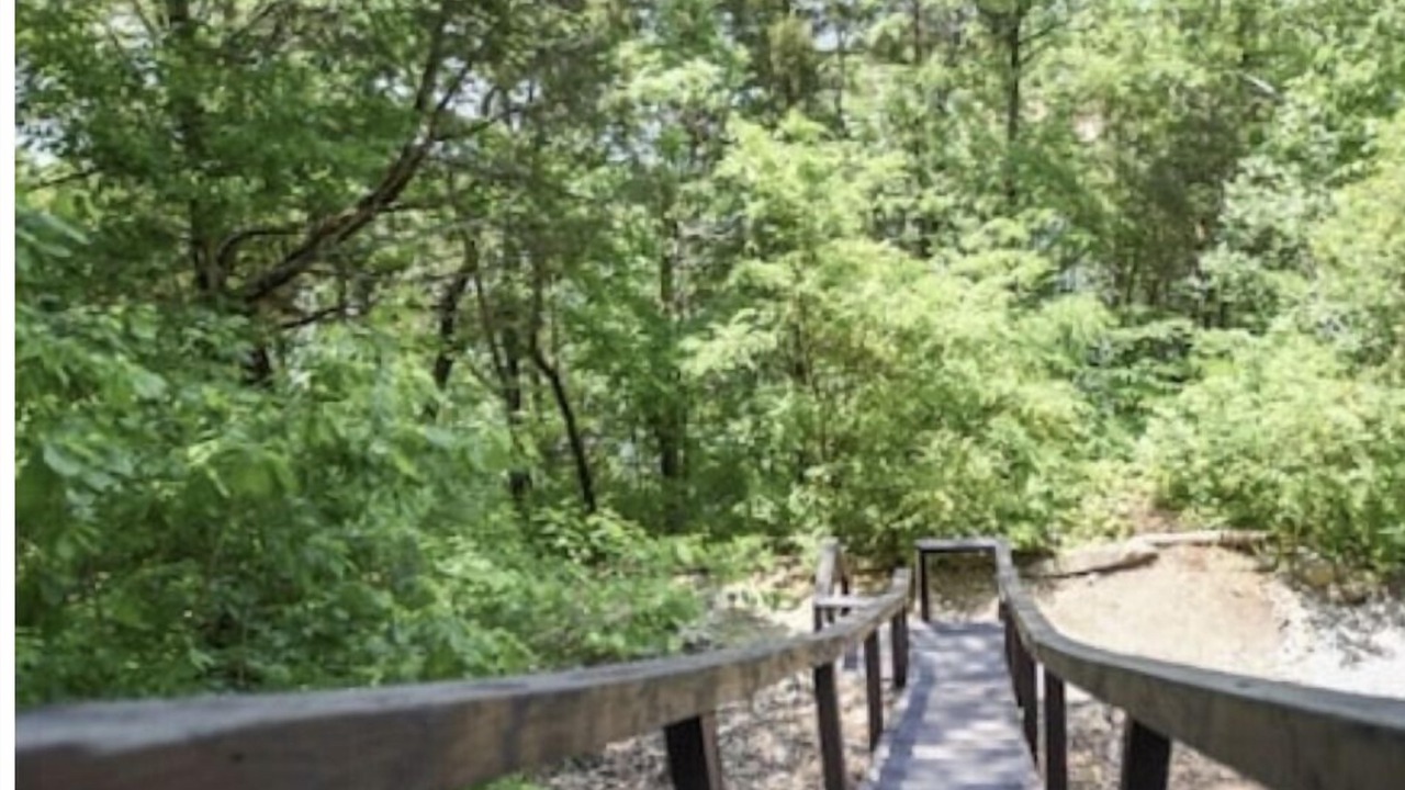 Photo of Outdoor in Flat Hollow Marina