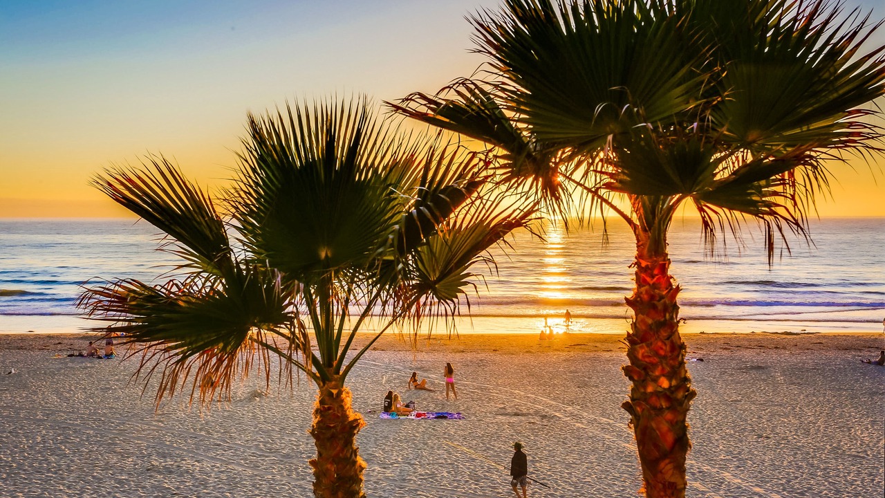Photo of Others in South Mission Beach