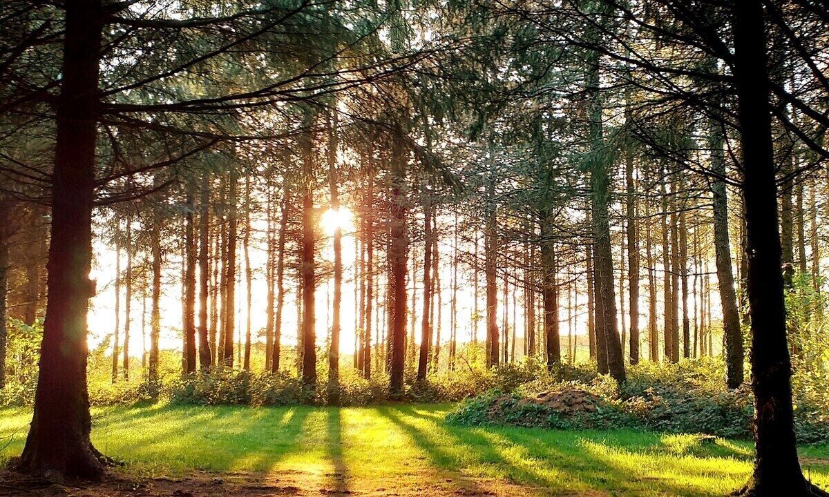 Photo of Others in Mary Tavy