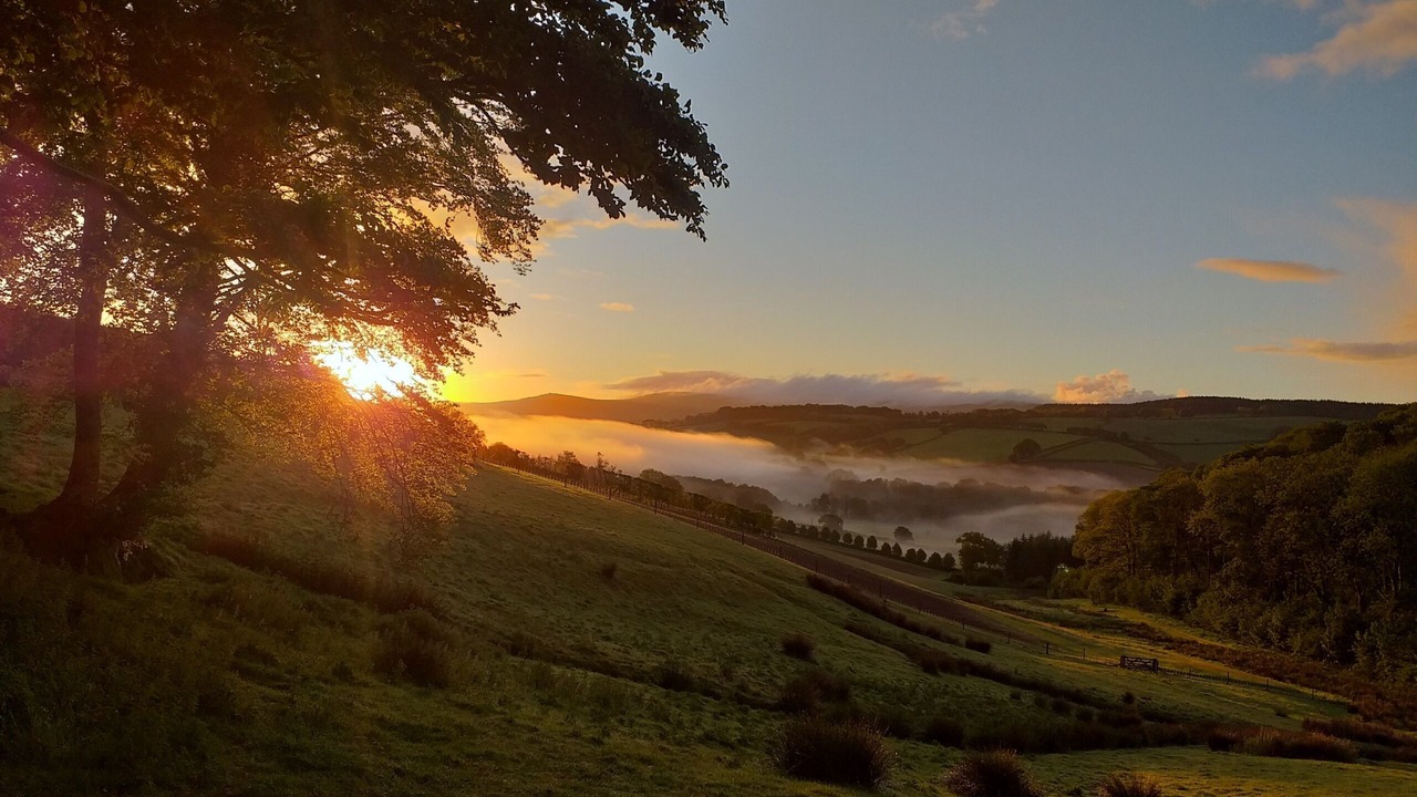 Photo of Others in Mary Tavy