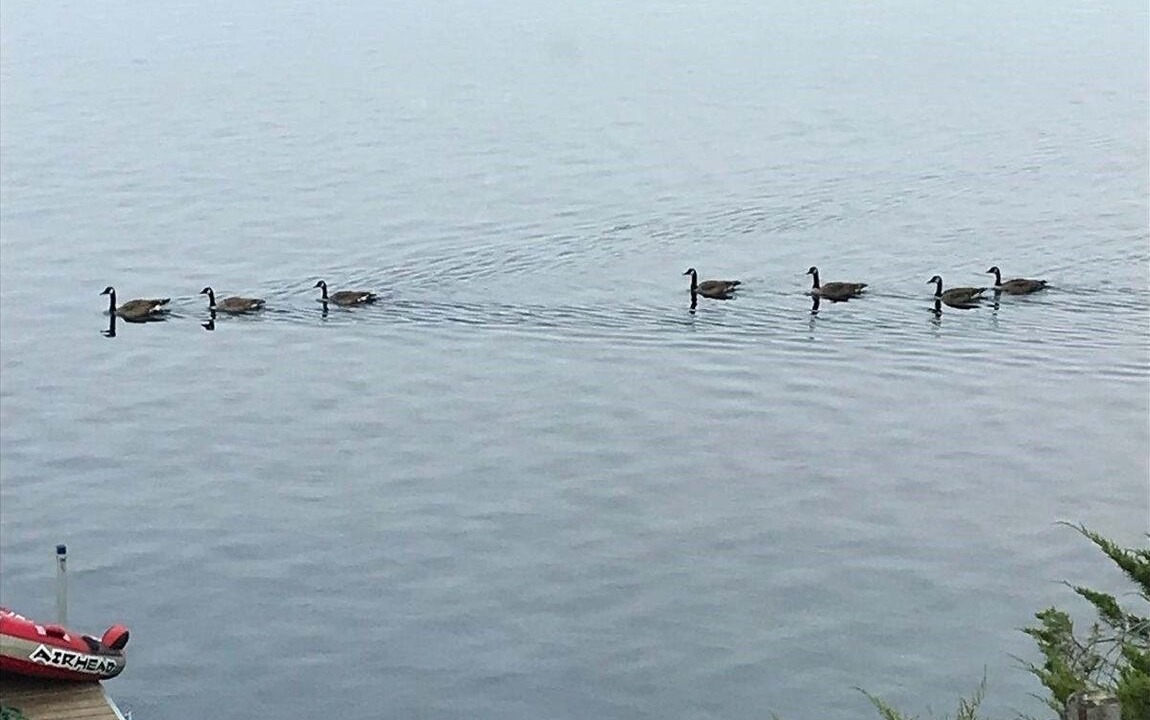 Photo of Outdoor in Winthrop