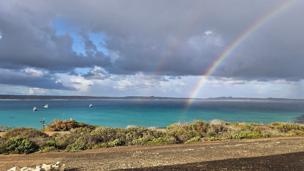 Photo of Others in Newland