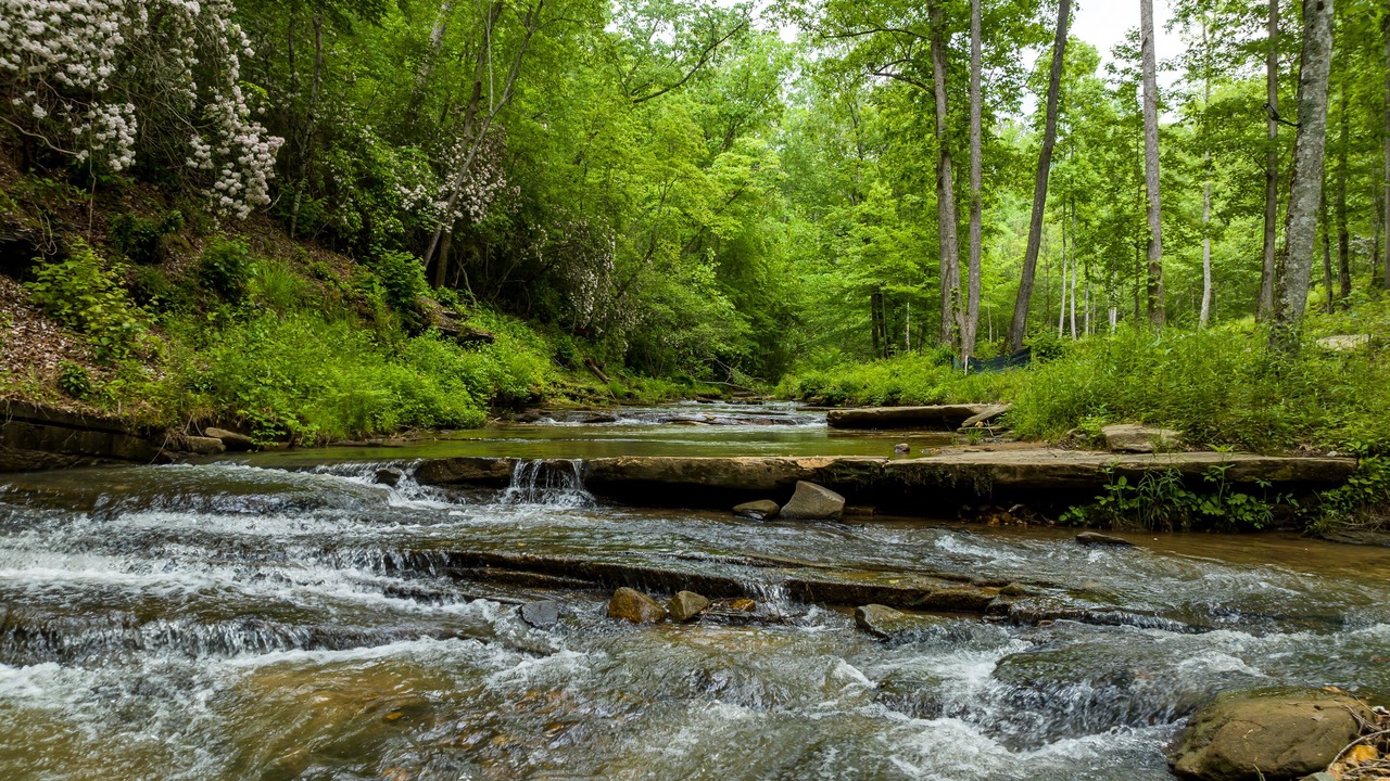 Photo of Others in Ellijay