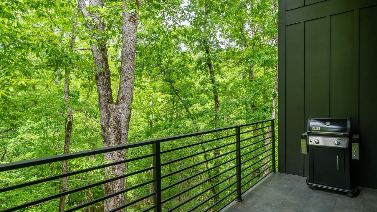 Photo of Outdoor in Ellijay