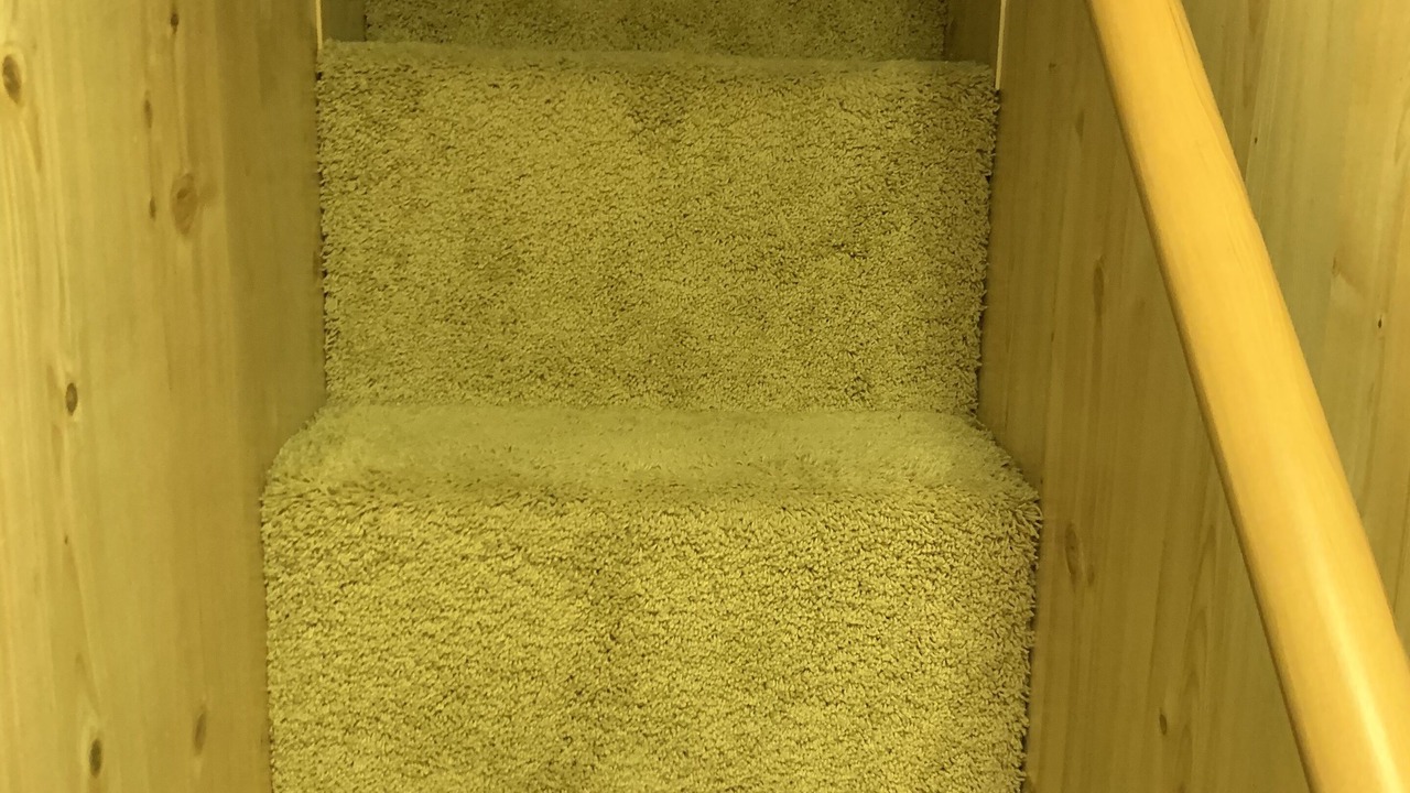 Photo of Others in Preston