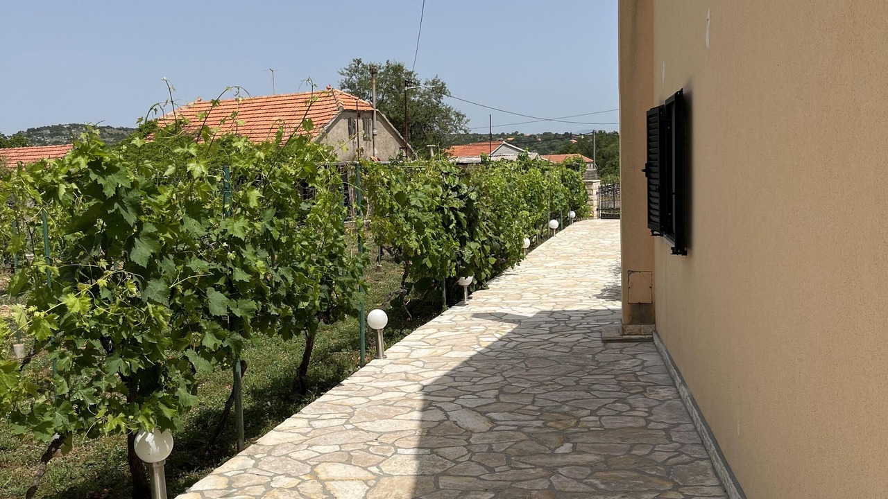 Photo of Others in Unesic