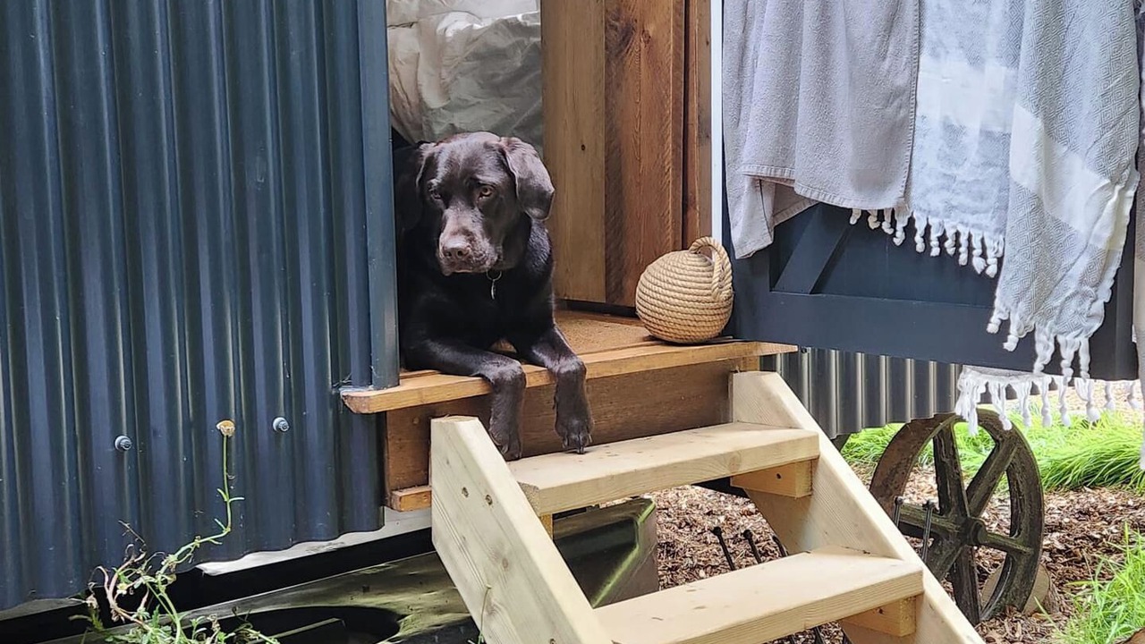 Photo of Others in Lanivet