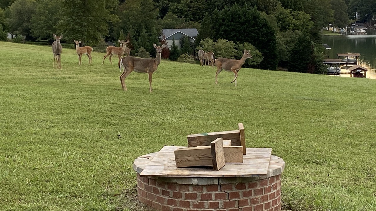 Photo of Others in Penhook