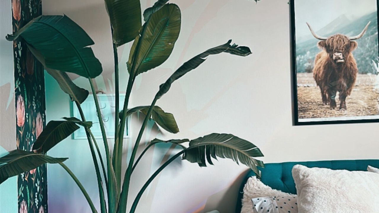 Photo of Bedroom in Hillcrest