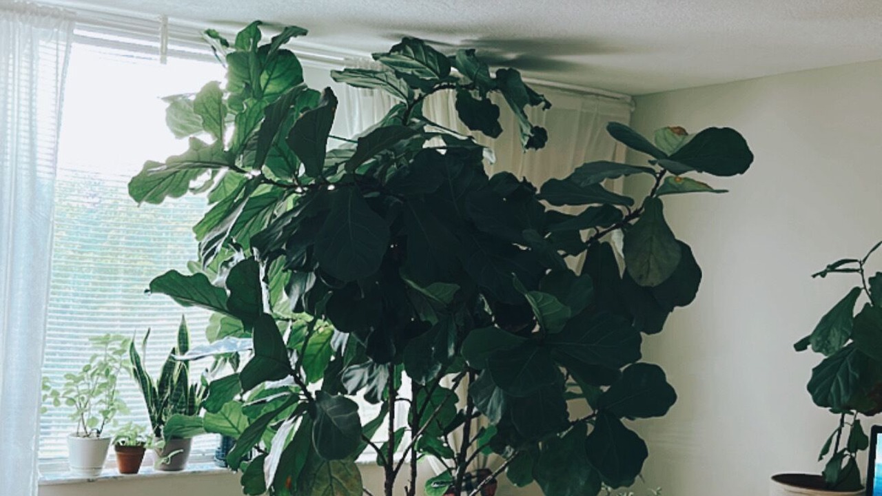 Photo of Bedroom in Hillcrest