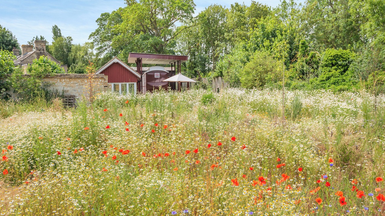 Photo of Outdoor in Thistley Green
