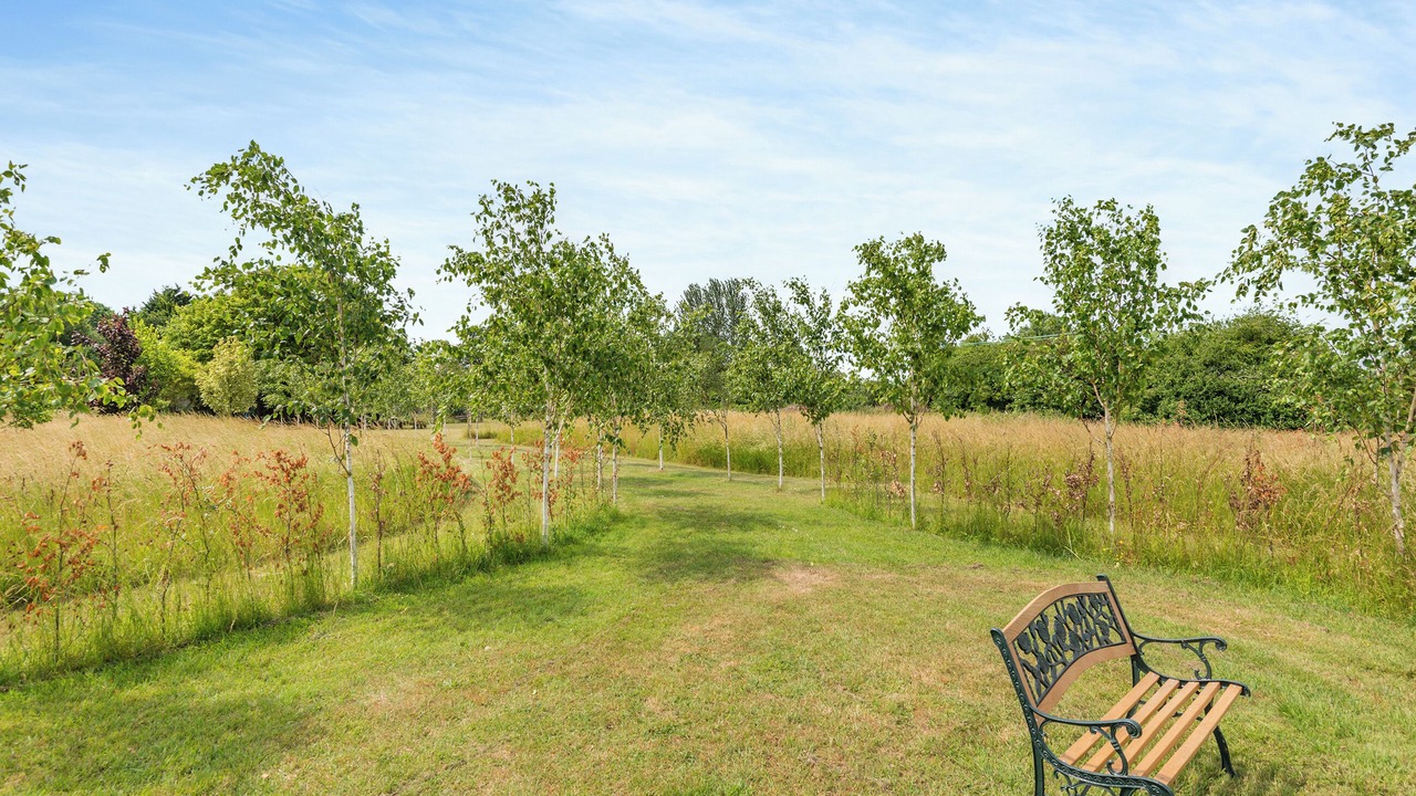 Photo of Outdoor in Thistley Green