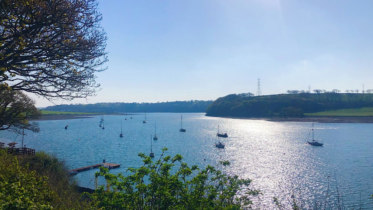 Photo of Others in Milford Haven