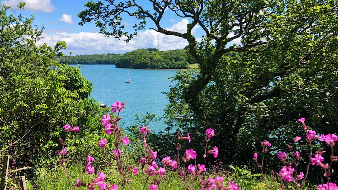 Photo of Others in Milford Haven