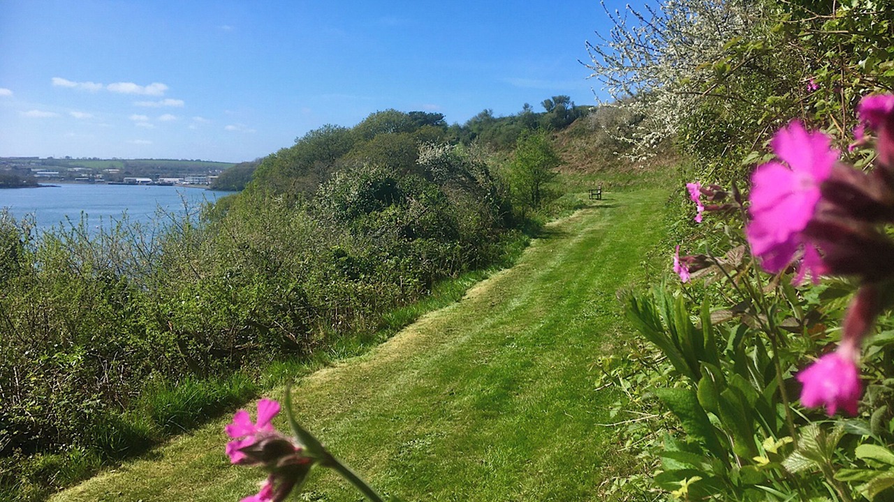 Photo of Others in Milford Haven