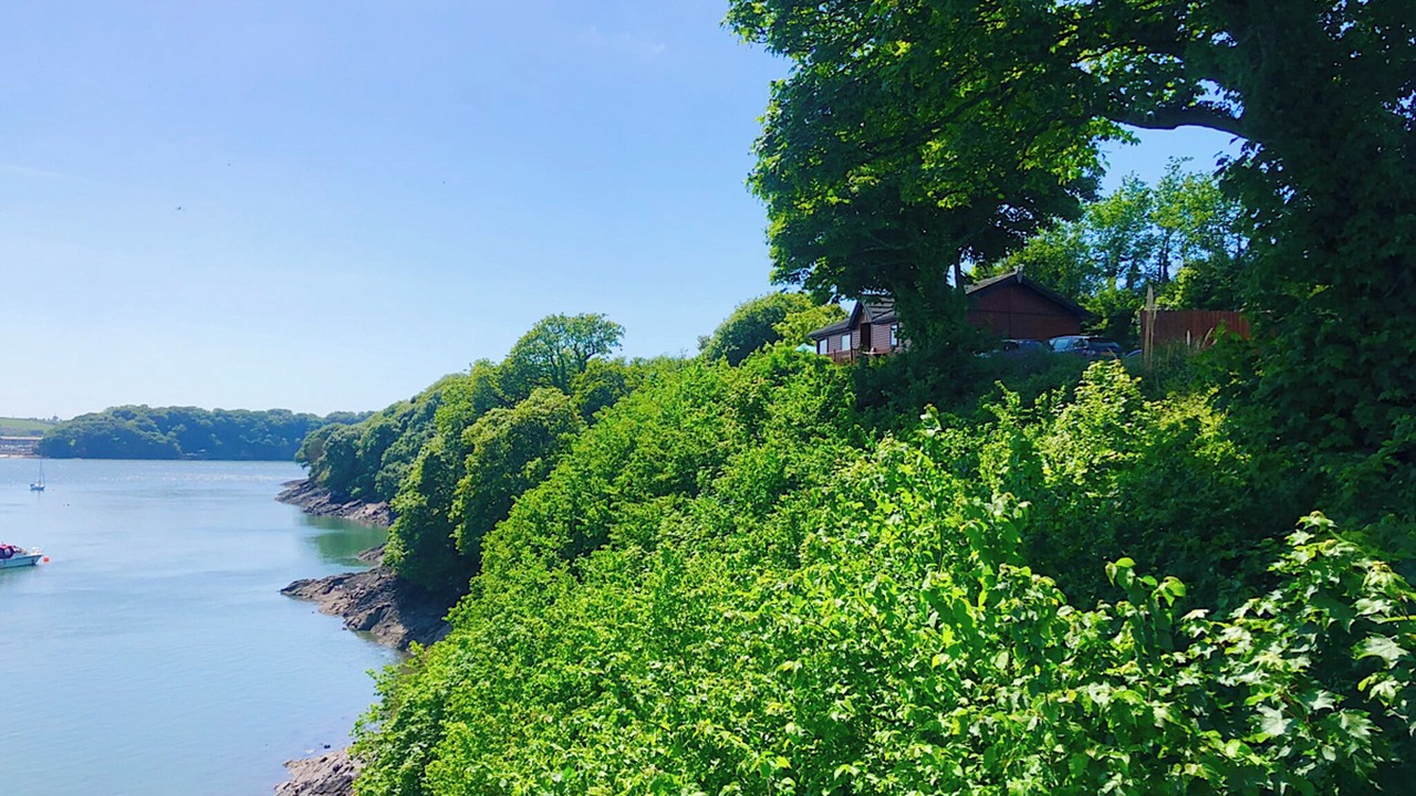 Photo of Others in Milford Haven