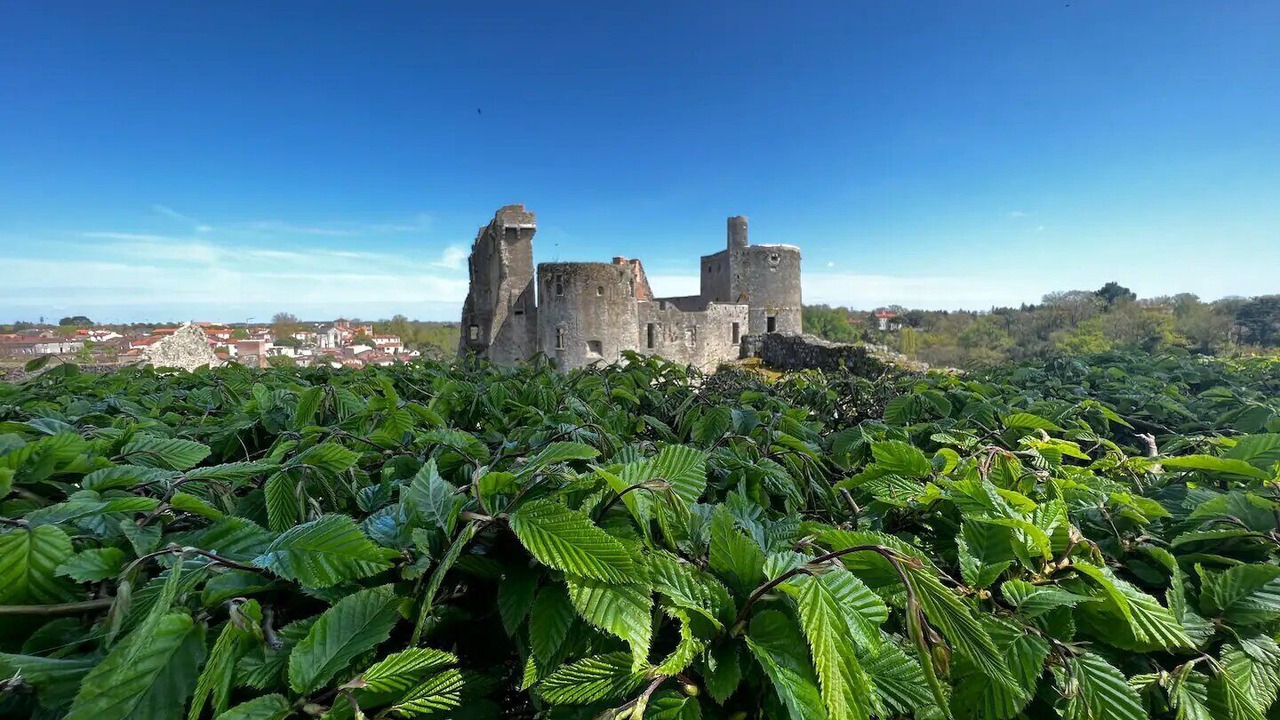 Photo of Others in Clisson