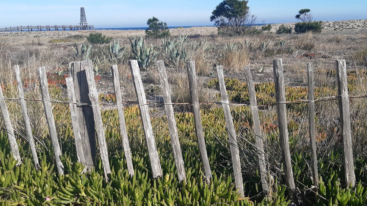 Photo of Others in Leucate