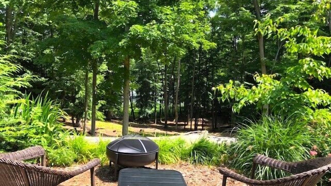 Photo of Outdoor in Free Soil