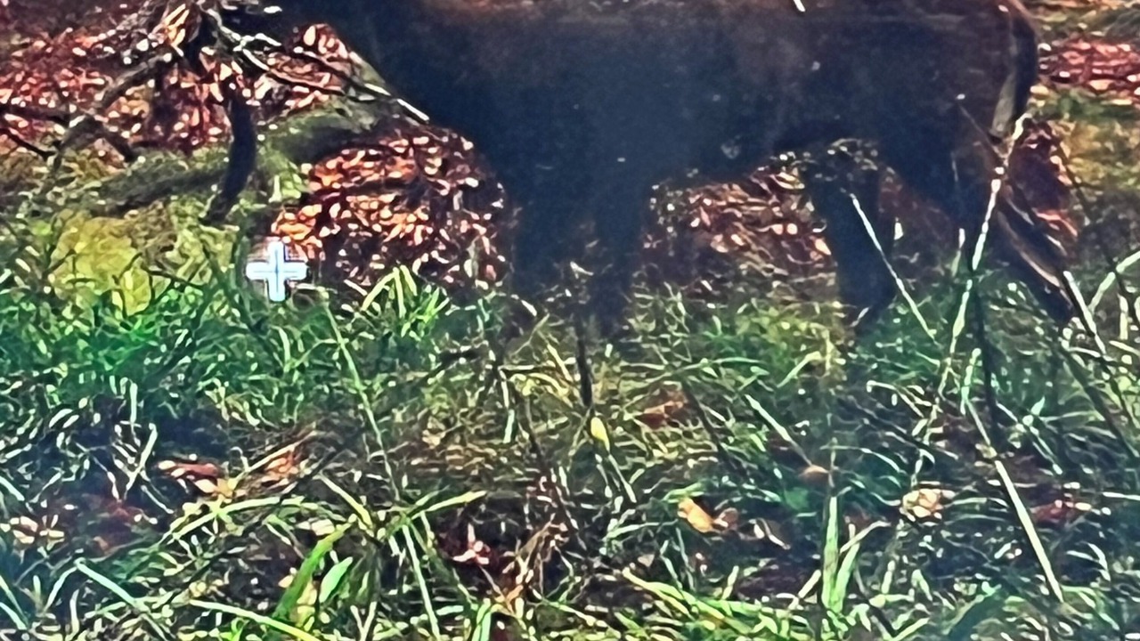 Photo of Others in Free Soil