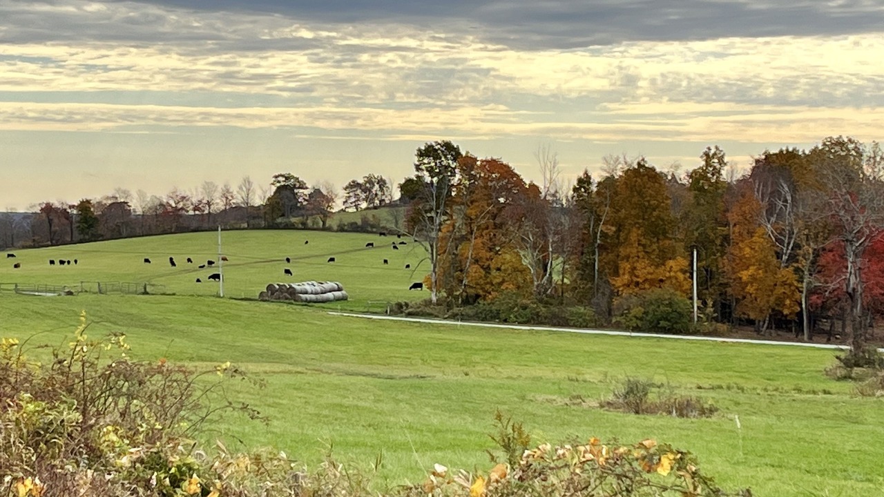 Photo of Others in Litchfield Historic District