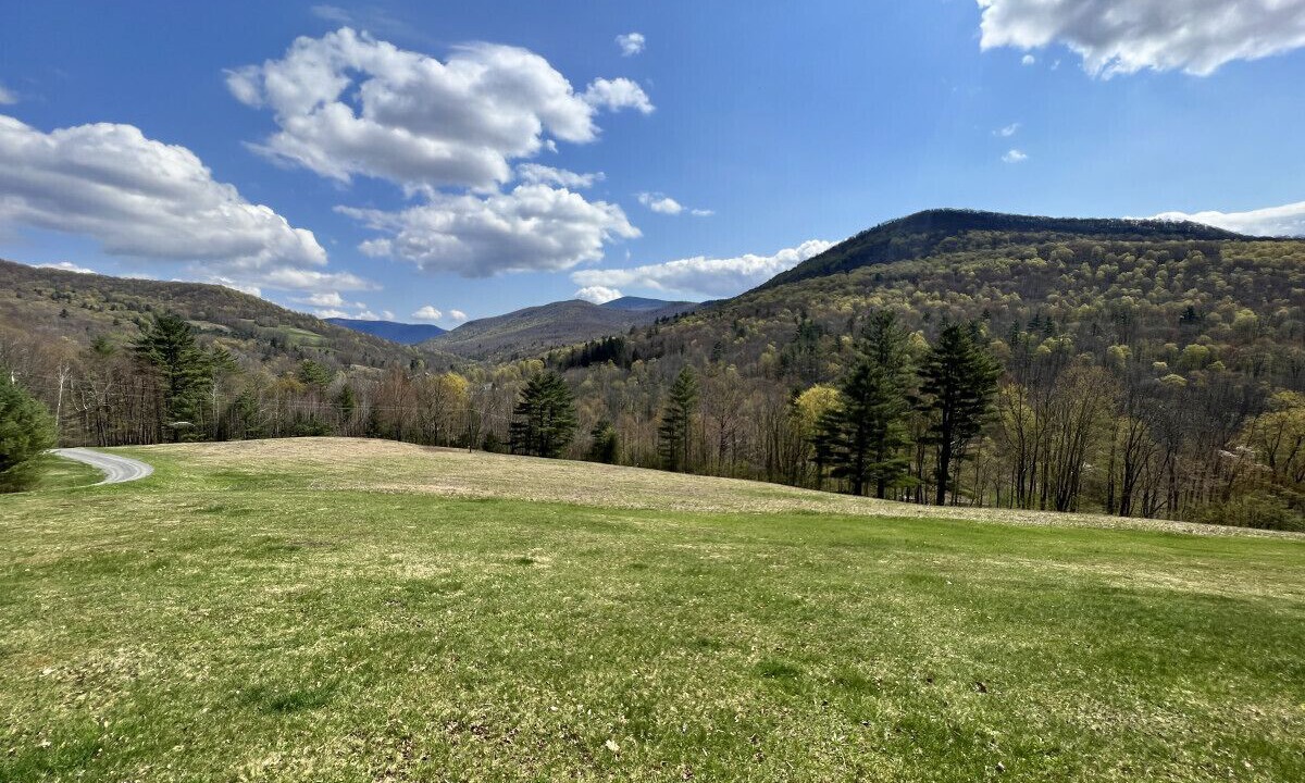 Photo of Others in Sandgate