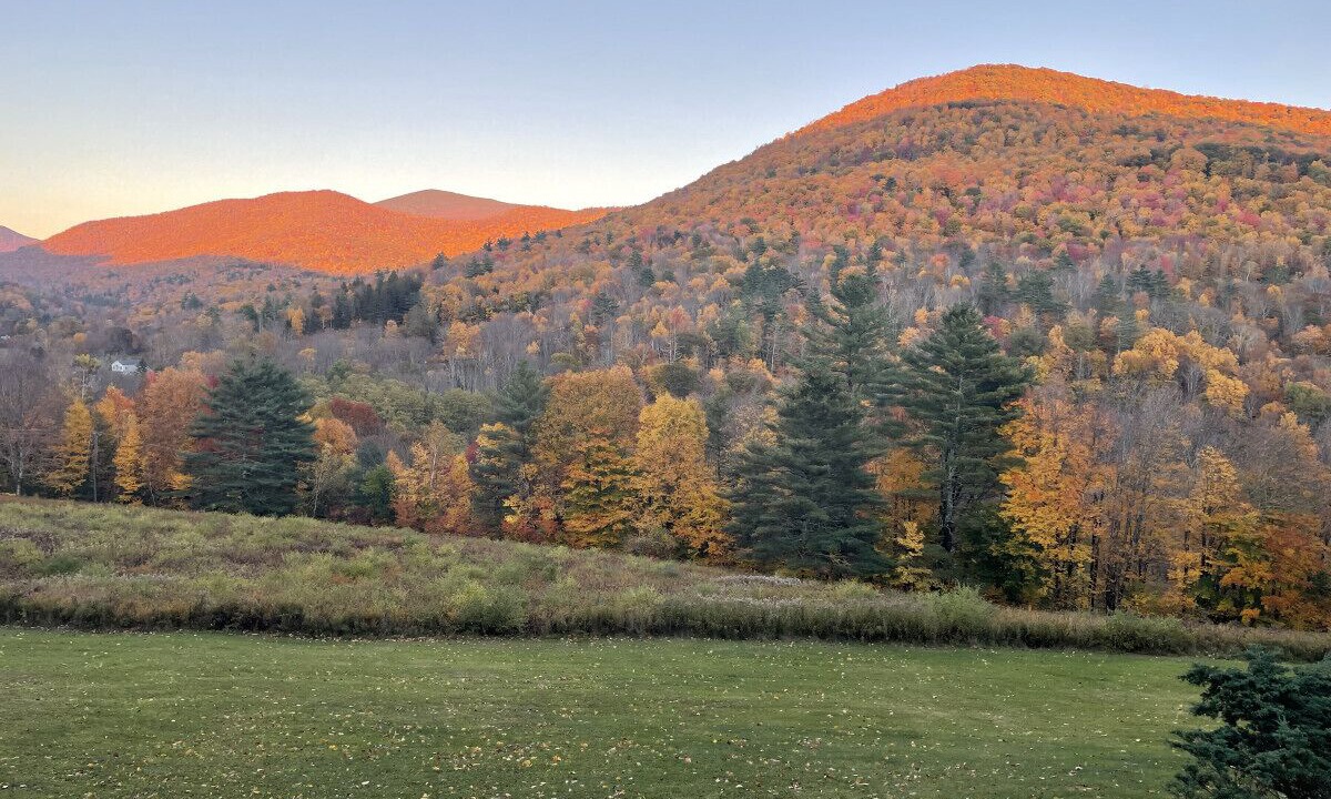 Photo of Others in Sandgate