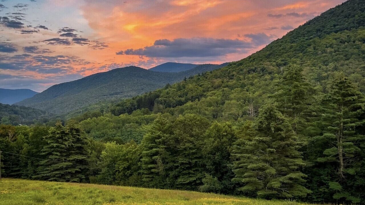 Photo of Others in Sandgate