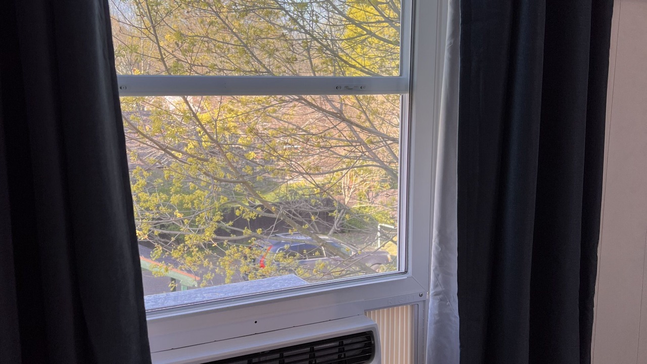 Photo of Others in Ipswich