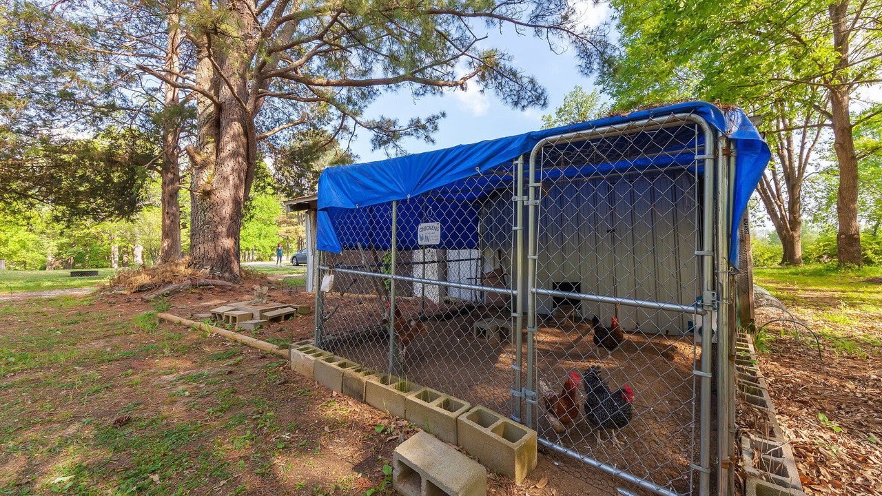 Photo of Outdoor in Hornsby