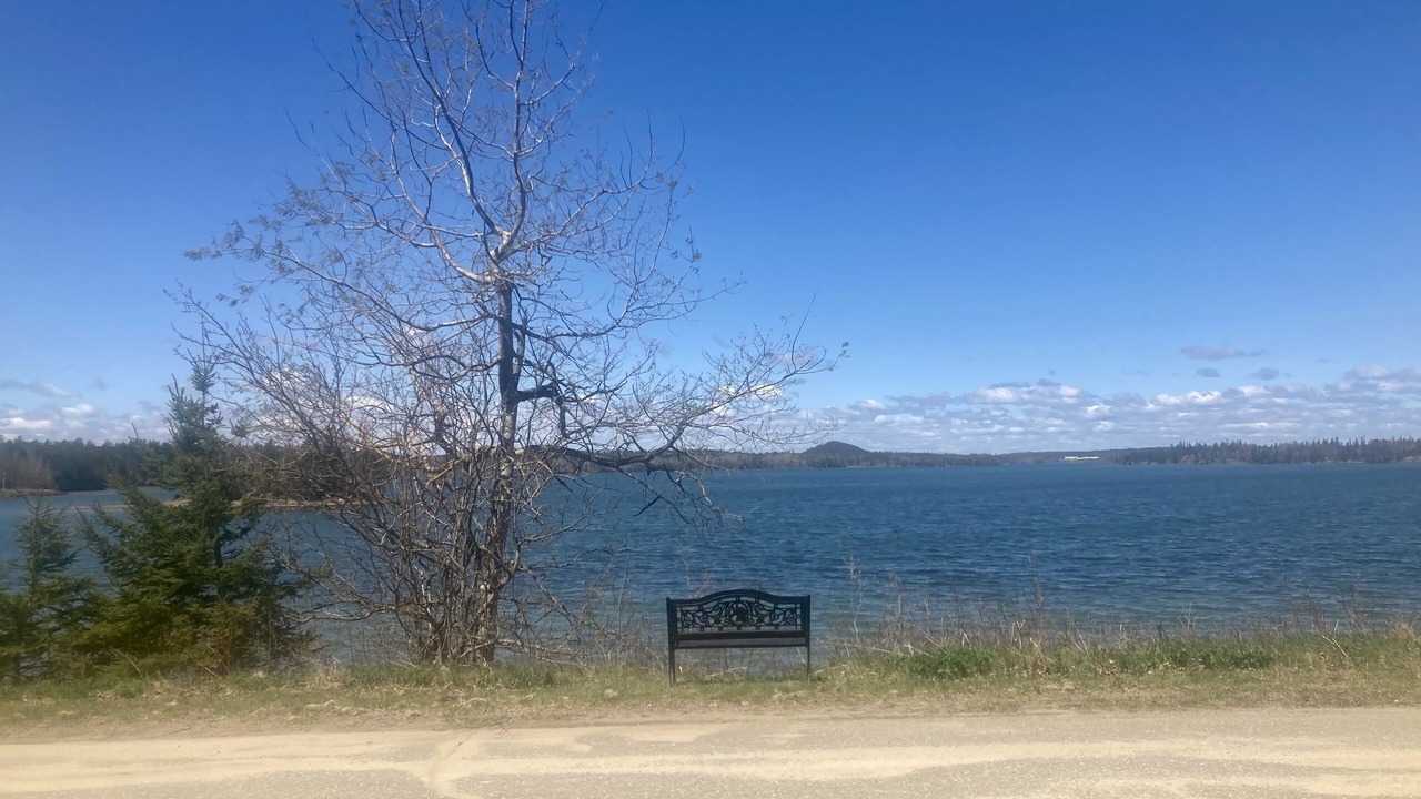 Photo of Others in Eastport