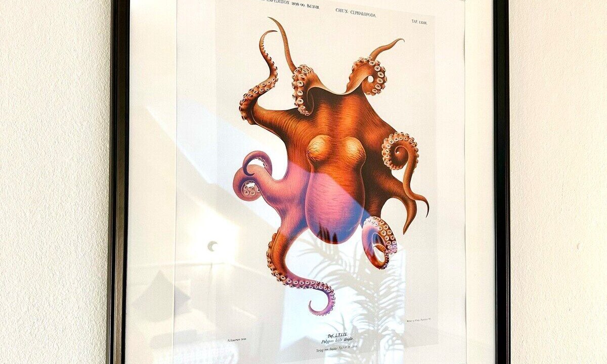 Photo of Others in Westbourne