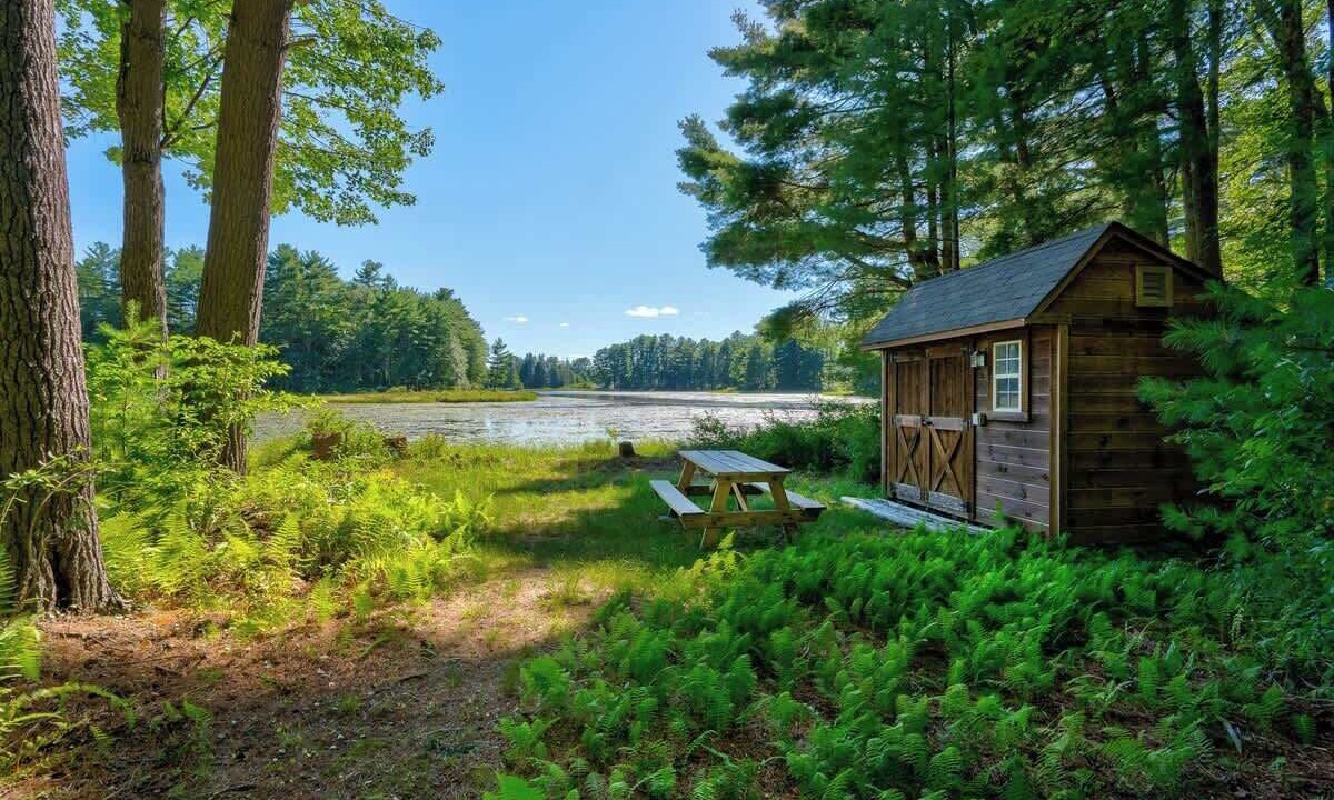 Photo of Outdoor in Forestburgh