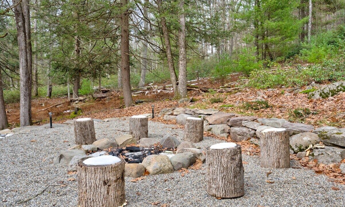 Photo of Outdoor in Narrowsburg