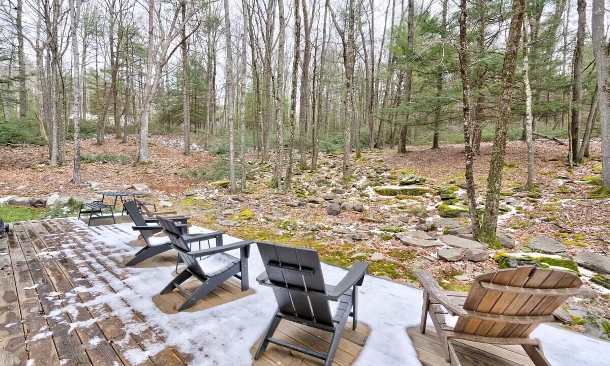 Photo of Outdoor in Narrowsburg