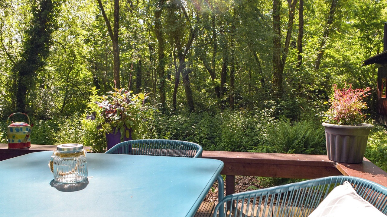 Photo of Others in Cenarth