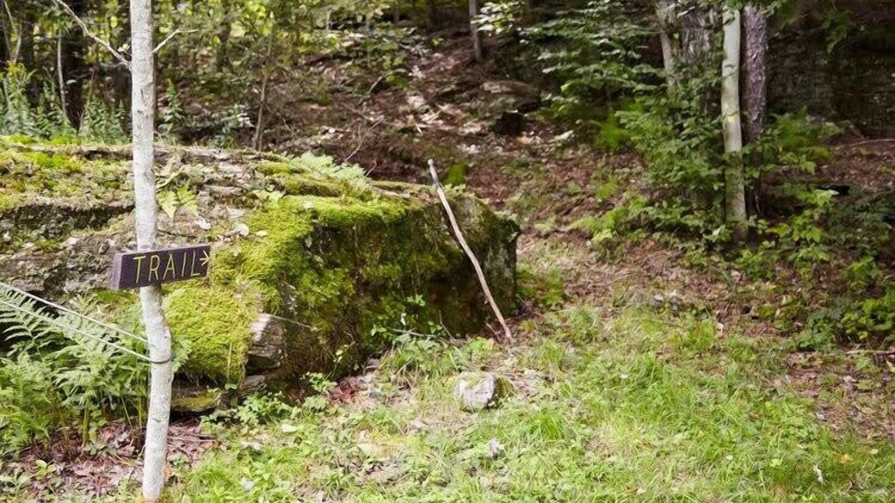 Photo of Others in Town of Colchester